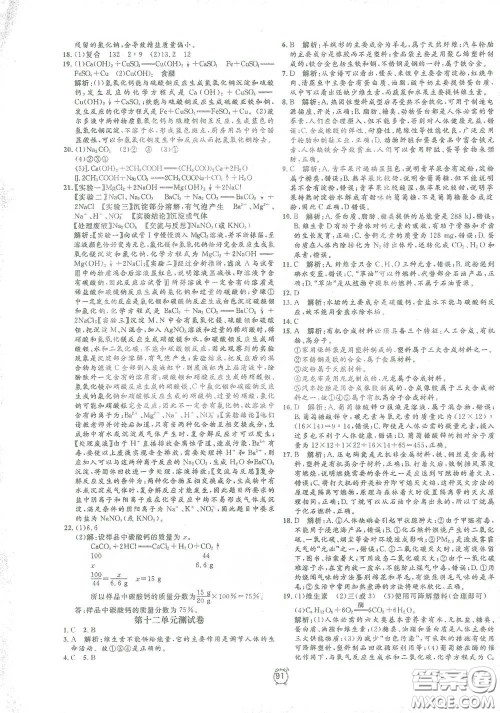 钟书金牌2021过关冲刺100分九年级化学下册人教版单元测试卷答案