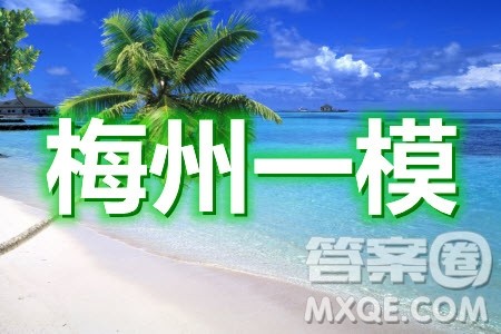 2021年梅州市高三总复习质检试卷物理试题及答案