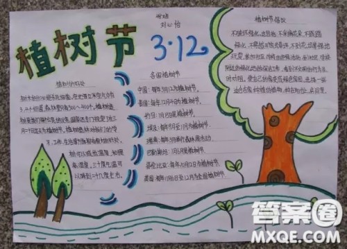 2021植树节手抄报图片汇总 关于2021植树节手抄报图片简单又好看