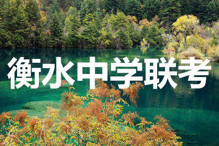 河北衡水中学2021届全国高三第二次联合考试语文试题及答案