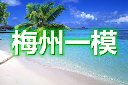 2021年梅州市高三总复习质检试卷数学试题及答案