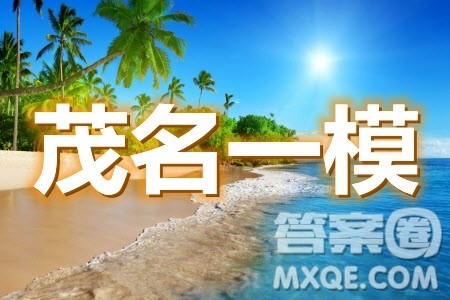 2021届茂名一模数学试题及答案