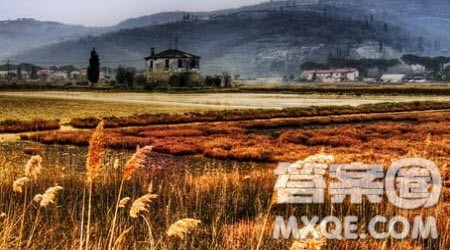 关于思念家乡主题的小学生作文500字 和思念家乡主题相关的小学生作文500字