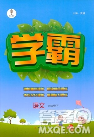 甘肃少年儿童出版社2021春经纶学典学霸语文六年级下部编人教版答案 甘肃少年儿童出版社2021春经纶学典学霸语文六年级下部编人教版答案