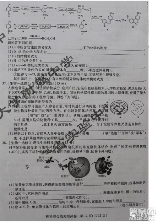 东北三省三校2021年高三第一次联合模拟考试理科综合试题及答案 东北三省三校2021年高三第一次联合模拟考试理科综合试题及答案