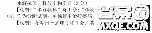 东北三省三校2021年高三第一次联合模拟考试理科综合试题及答案 东北三省三校2021年高三第一次联合模拟考试理科综合试题及答案