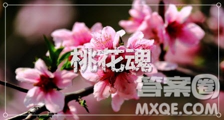 写桃花的作文800字 关于写桃花的作文800字