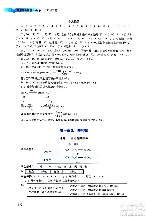 广州出版社2021阳光学业评价化学九年级下册人教版答案
