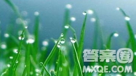 描写下雨的作文600字 关于写下雨的作文600字最新