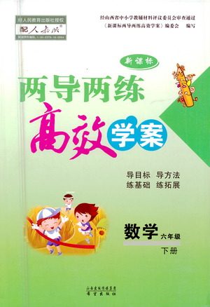 希望出版社2021新课标两导两练高效学案数学六年级下册人教版答案