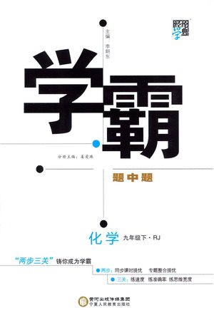 宁夏人民教育出版社2021学霸题中题化学九年级下册人教版答案