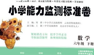 云南教育出版社2021小学能力监测标准卷数学六年级下册人教版答案 云南教育出版社2021小学能力监测标准卷数学六年级下册人教版答案