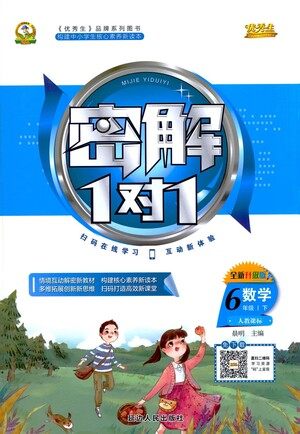 延边人民出版社2021密解1对1数学六年级下册人教版答案