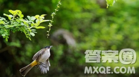 最温暖的地方作文600字 关于最温暖的地方的作文600字