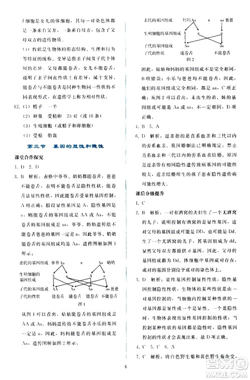 人民教育出版社2021同步轻松练习生物学八年级下册人教版答案 人民教育出版社2021同步轻松练习生物学八年级下册人教版答案