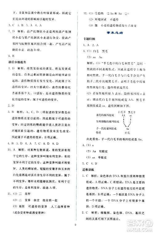 人民教育出版社2021同步轻松练习生物学八年级下册人教版答案 人民教育出版社2021同步轻松练习生物学八年级下册人教版答案