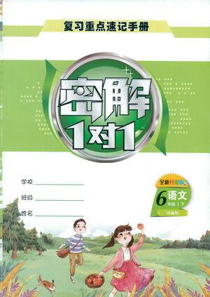 延边人民出版社2021密解1对1复习重点速记手册语文六年级下册部编人教版答案 延边人民出版社2021密解1对1复习重点速记手册语文六年级下册部编人教版答案