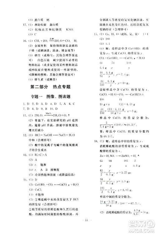 人民教育出版社2021同步轻松练习化学九年级总复习人教版答案