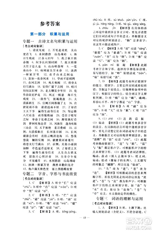 人民教育出版社2021同步轻松练习语文九年级总复习人教版答案