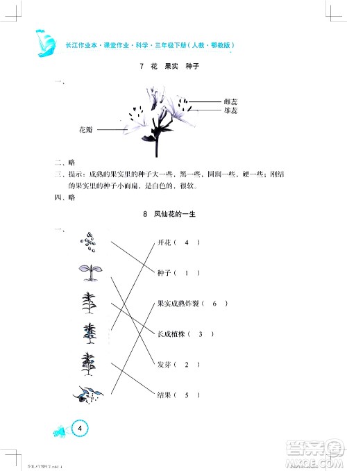 湖北教育出版社2021长江作业本课堂作业科学三年级下册人教鄂教版答案