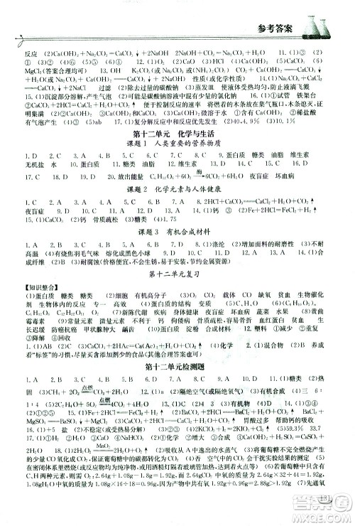 湖北教育出版社2021长江作业本同步练习册化学九年级下册人教版答案