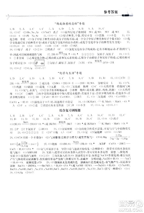 湖北教育出版社2021长江作业本同步练习册化学九年级下册人教版答案