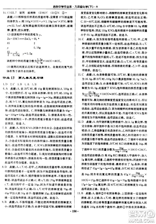龙门书局2021启东中学作业本九年级化学下册R人教版答案