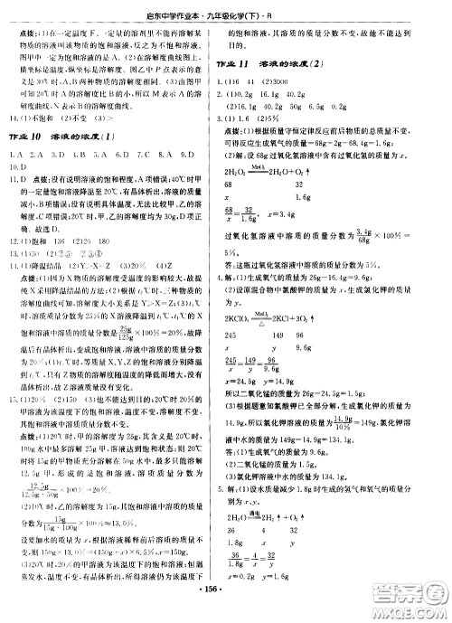 龙门书局2021启东中学作业本九年级化学下册R人教版答案