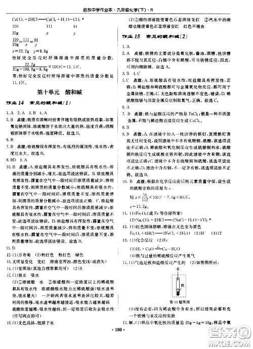 龙门书局2021启东中学作业本九年级化学下册R人教版答案