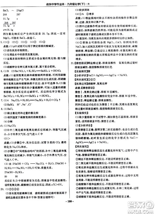 龙门书局2021启东中学作业本九年级化学下册R人教版答案 龙门书局2021启东中学作业本九年级化学下册R人教版答案