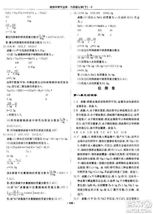 龙门书局2021启东中学作业本九年级化学下册R人教版答案