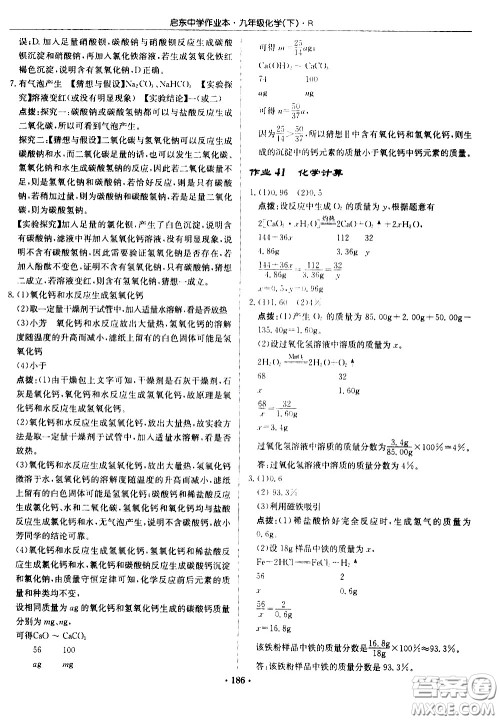 龙门书局2021启东中学作业本九年级化学下册R人教版答案