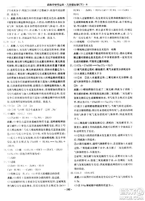 龙门书局2021启东中学作业本九年级化学下册R人教版答案