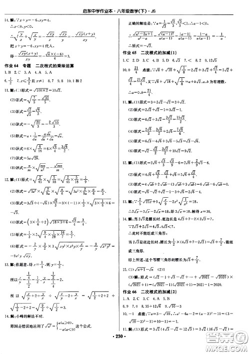 龙门书局2021启东中学作业本八年级数学下册JS苏教版答案