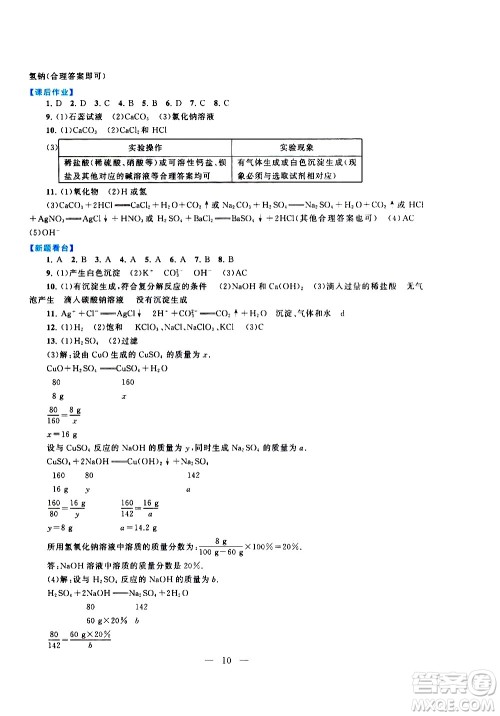 黄山书社2021启东黄冈作业本九年级下册化学人民教育版答案 黄山书社2021启东黄冈作业本九年级下册化学人民教育版答案