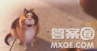 XX的自述小学生作文400字 关于XX的自述的小学生作文400字