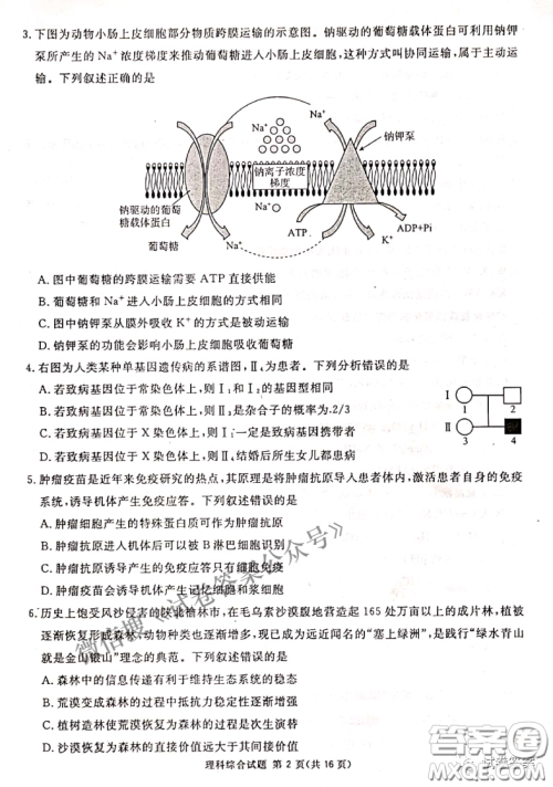南宁市2021届高中毕业班第一次适应性测试理科综合试卷及答案 南宁市2021届高中毕业班第一次适应性测试理科综合试卷及答案