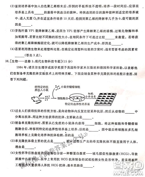 南宁市2021届高中毕业班第一次适应性测试理科综合试卷及答案 南宁市2021届高中毕业班第一次适应性测试理科综合试卷及答案