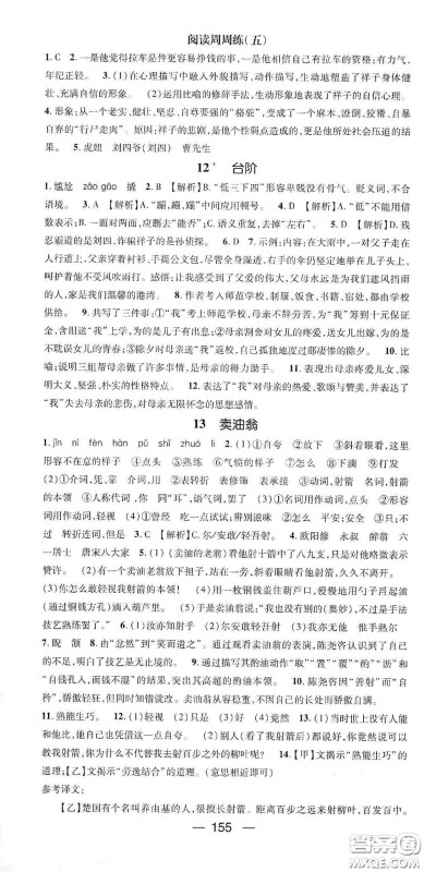 阳光出版社2021精英新课堂七年级语文下册人教版答案 阳光出版社2021精英新课堂七年级语文下册人教版答案