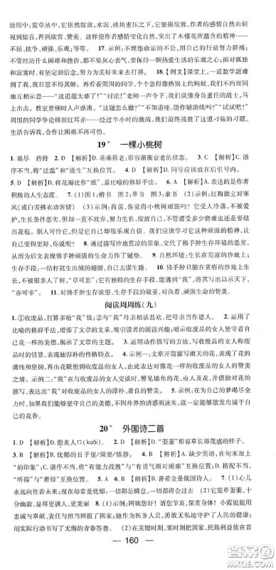 阳光出版社2021精英新课堂七年级语文下册人教版答案 阳光出版社2021精英新课堂七年级语文下册人教版答案