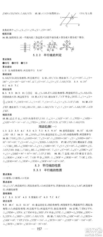 阳光出版社2021精英新课堂七年级数学下册人教版答案