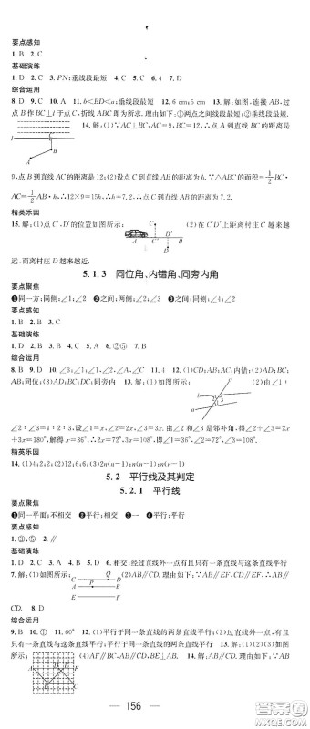 阳光出版社2021精英新课堂七年级数学下册人教版答案