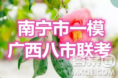 南宁市2021届高中毕业班第一次适应性测试理科综合试卷及答案 南宁市2021届高中毕业班第一次适应性测试理科综合试卷及答案