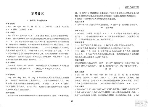 海南出版社2021新课程课堂同步练习册九年级语文下册人教版答案