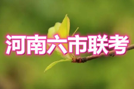 2021年河南省六市高三第一次联考文科数学试题及答案 2021年河南省六市高三第一次联考文科数学试题及答案