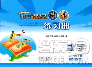 海南出版社2021新课程课堂同步练习册六年级数学下册人教版答案