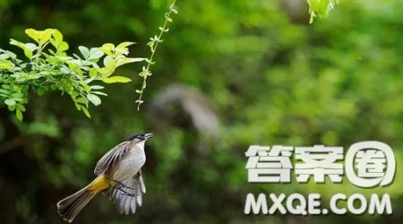 关于坚持自我的作文600字 与坚持自我有关的作文600字