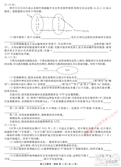 2021届四省名校高三第三次大联考理综试题及答案