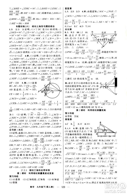 新疆青少年出版社2021四清导航数学九年级下册人教版答案