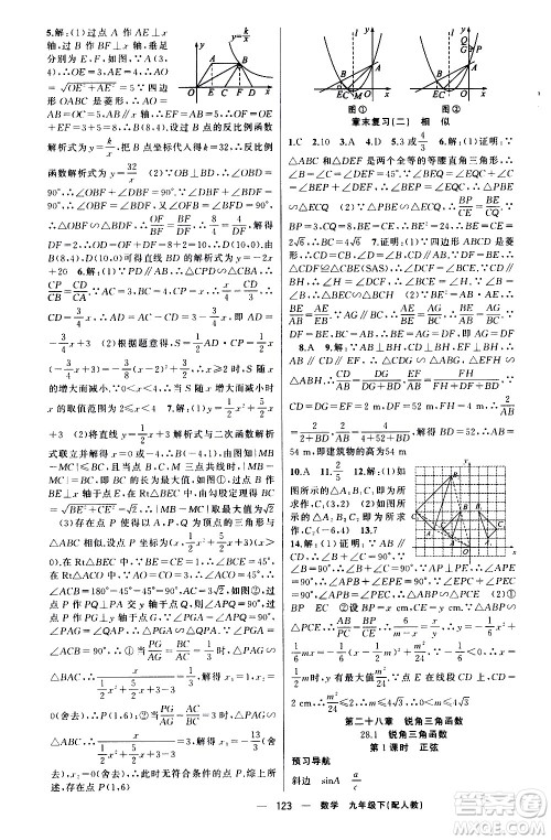 新疆青少年出版社2021四清导航数学九年级下册人教版答案